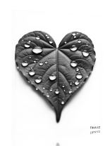 Obraz - plakát 2d2701_00046_a.jpg 