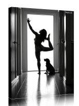 Obraz - plakát 2d2701_00053_a.jpg 