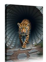 Obraz - plakát 3_250520d_00045a.jpg 