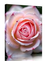 Obraz - plakát 7d0421_00026_a.jpg 