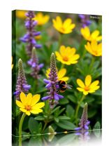 Obraz - plakát 7d0421_00038_a.jpg 