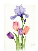 Obraz - plakát 7d0421_00222_a.jpg 