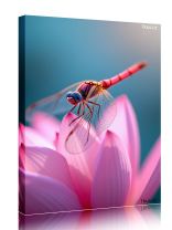 Obraz - plakát 7d0421_00271_a.jpg 